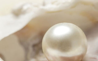 Perlas, la primera gema en la joyería